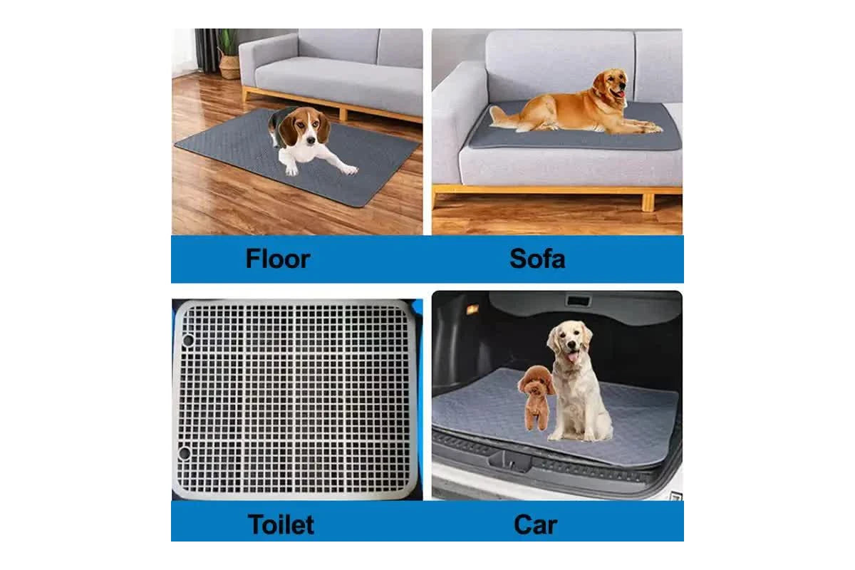 DrySpot Washable Pet Pads