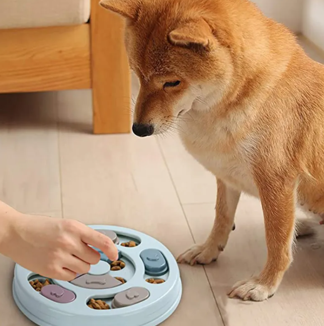 PawPuzzle Slow Feeder Bowl