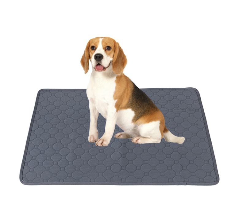 DrySpot Washable Pet Pads