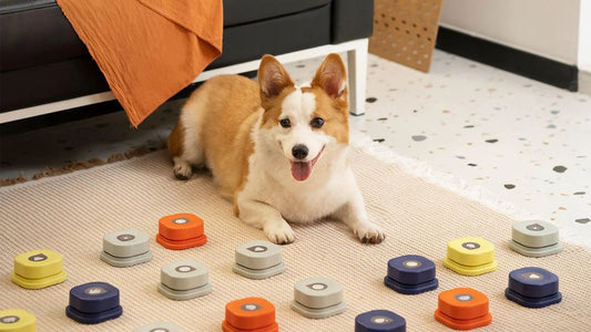 PawSpeak Communication Buttons