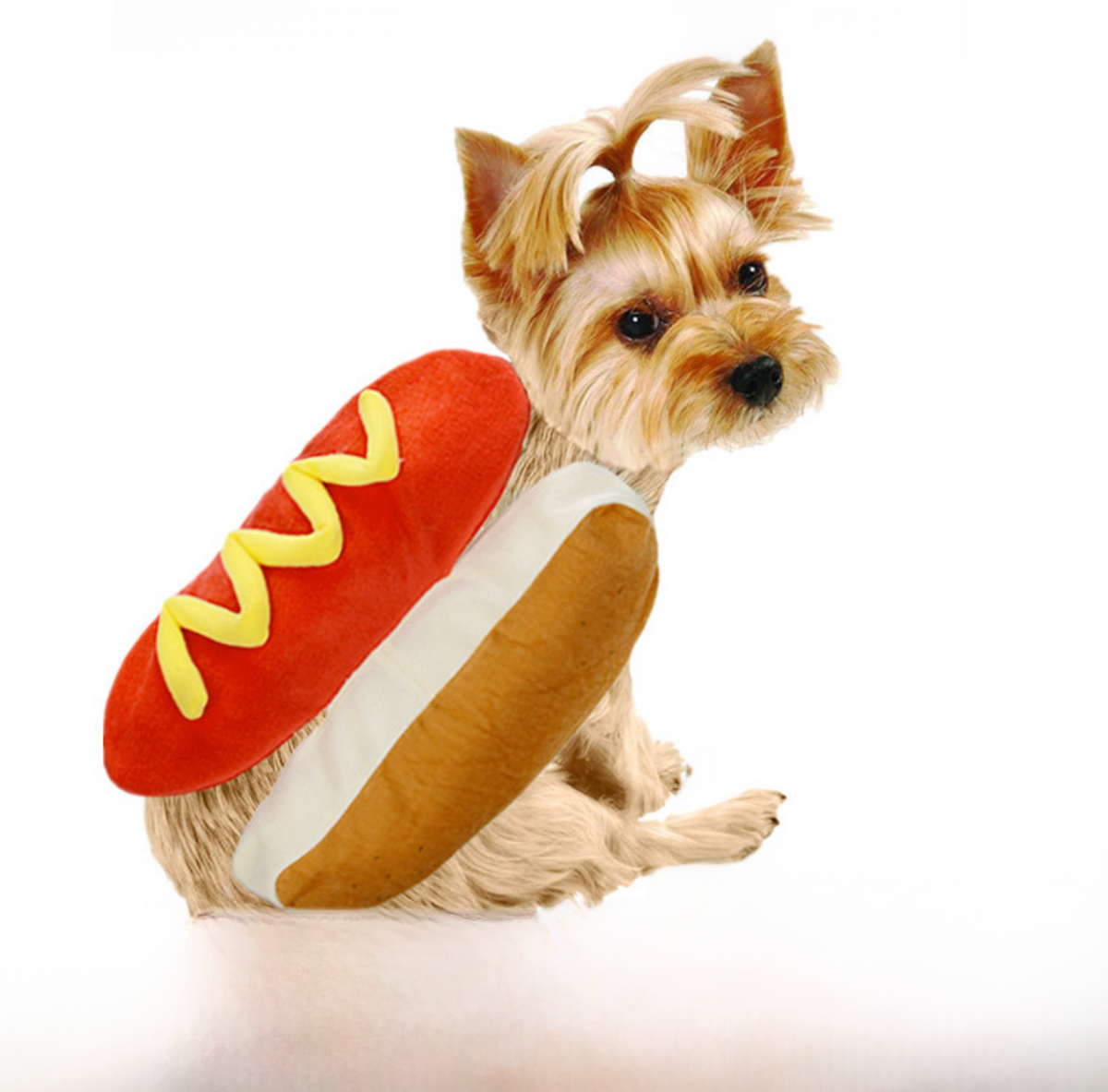 Hot Diggity Dog Costume