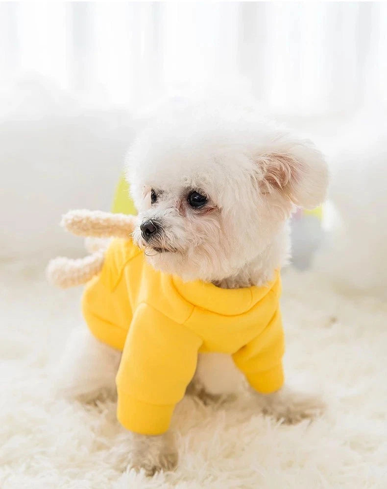 CozyBear Pet Hoodie